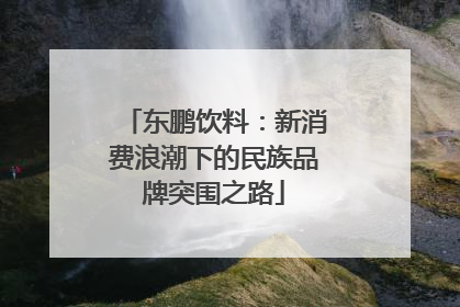 东鹏饮料：新消费浪潮下的民族品牌突围之路
