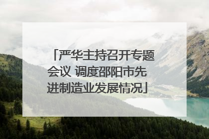 严华主持召开专题会议 调度邵阳市先进制造业发展情况