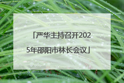 严华主持召开2025年邵阳市林长会议