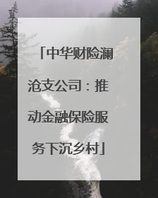 中华财险澜沧支公司：推动金融保险服务下沉乡村