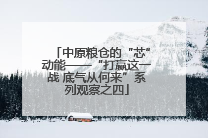 中原粮仓的“芯”动能——“打赢这一战 底气从何来”系列观察之四
