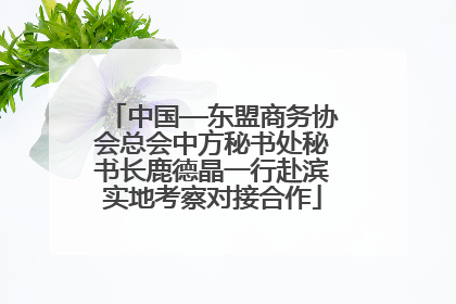 中国—东盟商务协会总会中方秘书处秘书长鹿德晶一行赴滨实地考察对接合作