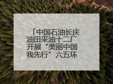 中国石油长庆油田采油十二厂开展“美丽中国我先行”六五环境日主题活动