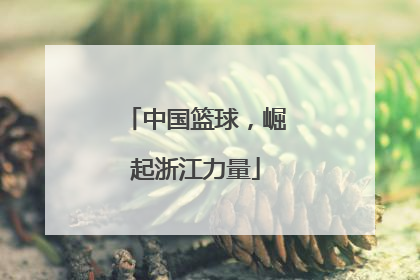 中国篮球，崛起浙江力量