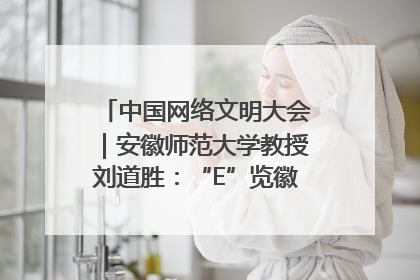 中国网络文明大会｜安徽师范大学教授刘道胜：“E”览徽风，构筑中华民族共有精神家园