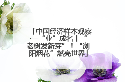 中国经济样本观察·一“业”成名丨“老树发新芽”！“浏阳烟花”燃亮世界