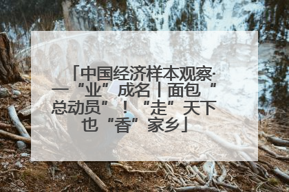 中国经济样本观察·一“业”成名丨面包“总动员”！“走”天下也“香”家乡