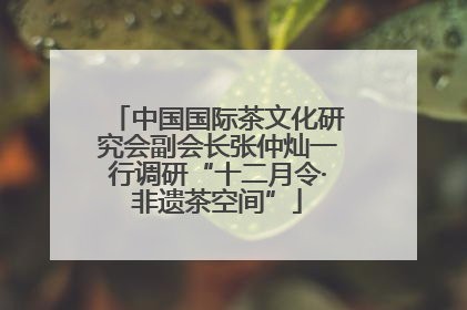 中国国际茶文化研究会副会长张仲灿一行调研“十二月令·非遗茶空间”