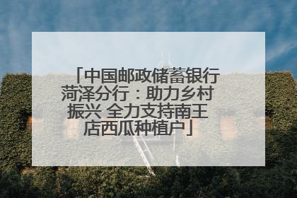 中国邮政储蓄银行菏泽分行：助力乡村振兴 全力支持南王店西瓜种植户