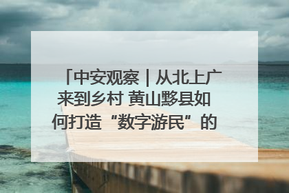 中安观察｜从北上广来到乡村 黄山黟县如何打造“数字游民”的“桃花源”？