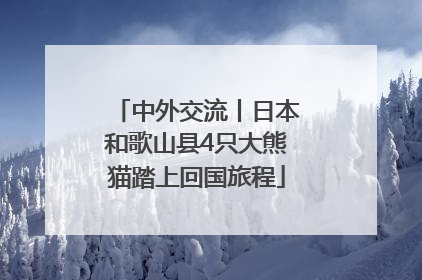中外交流丨日本和歌山县4只大熊猫踏上回国旅程