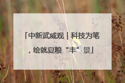 中新武威观｜科技为笔，绘就夏粮“丰”景
