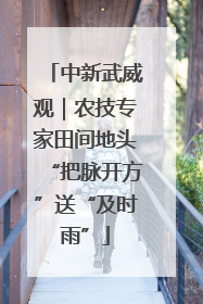 中新武威观｜农技专家田间地头“把脉开方”送“及时雨”
