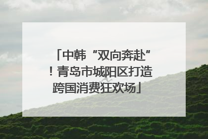中韩“双向奔赴”！青岛市城阳区打造跨国消费狂欢场