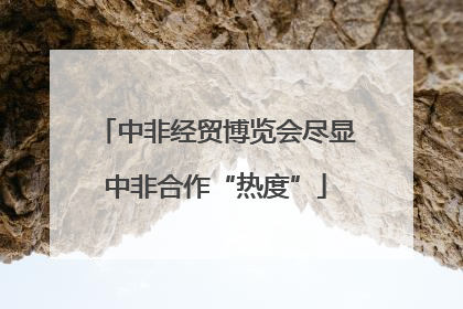 中非经贸博览会尽显中非合作“热度”