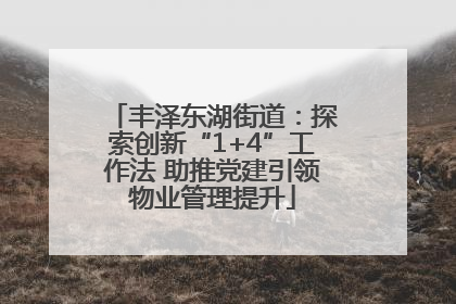 丰泽东湖街道：探索创新“1+4”工作法 助推党建引领物业管理提升