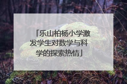 乐山柏杨小学激发学生对数学与科学的探索热情