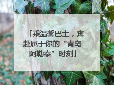 乘温馨巴士，奔赴属于你的“青岛阿勒泰”时刻