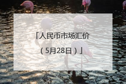 人民币市场汇价（5月28日）