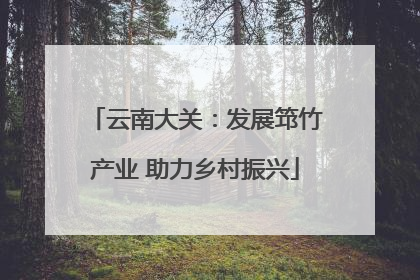 云南大关：发展筇竹产业 助力乡村振兴
