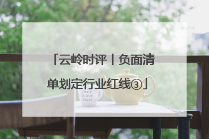 云岭时评丨负面清单划定行业红线③