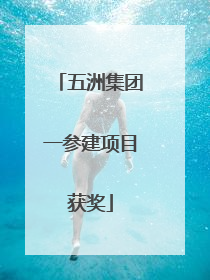 五洲集团一参建项目获奖