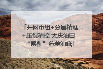井网重组+分层精准+压裂精控 大庆油田“唤醒”薄差油藏