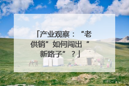 产业观察：“老供销”如何闯出“新路子”？