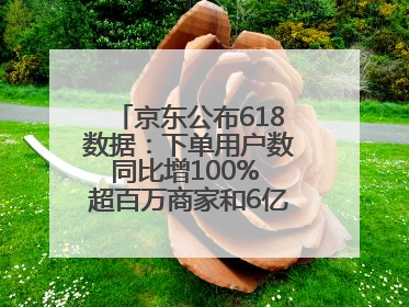 京东公布618数据：下单用户数同比增100% 超百万商家和6亿消费者受益AI