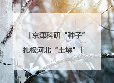 京津科研“种子”扎根河北“土壤”