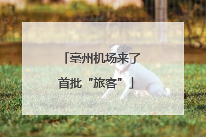 亳州机场来了首批“旅客”
