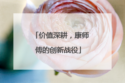 价值深耕，康师傅的创新战役