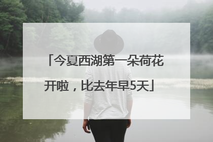 今夏西湖第一朵荷花开啦，比去年早5天
