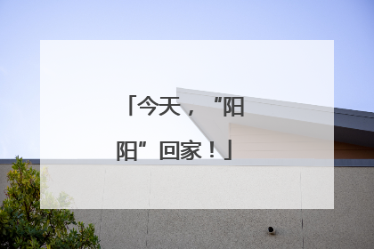 今天，“阳阳”回家！