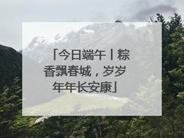 今日端午丨粽香飘春城，岁岁年年长安康