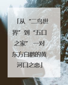 从“二鸟世界”到“五口之家” 一对东方白鹳的黄河口之恋