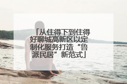 从住得下到住得好聊城高新区以定制化服务打造“鲁派民居”新范式