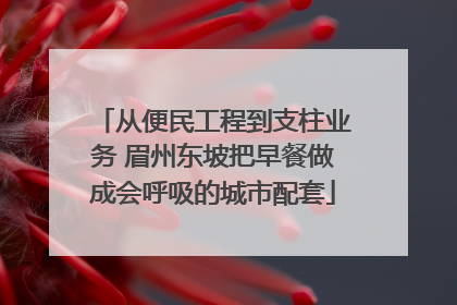 从便民工程到支柱业务 眉州东坡把早餐做成会呼吸的城市配套