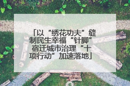 以“绣花功夫”缝制民生幸福“针脚” 宿迁城市治理“十项行动”加速落地