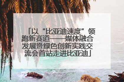 以“比亚迪速度”领跑新赛道——媒体融合发展暨绿色创新实践交流会首站走进比亚迪
