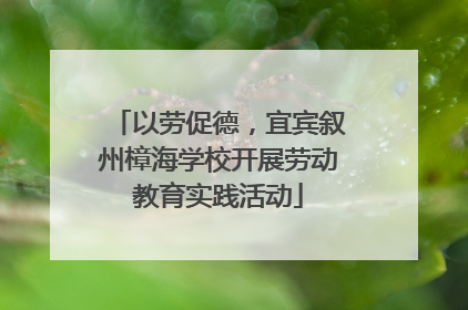 以劳促德，宜宾叙州樟海学校开展劳动教育实践活动