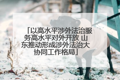 以高水平涉外法治服务高水平对外开放 山东推动形成涉外法治大协同工作格局
