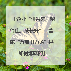 企业“引得来、留得住、成长好”，普陀“营商引力场”是如何炼就的