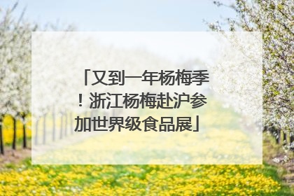 又到一年杨梅季！浙江杨梅赴沪参加世界级食品展