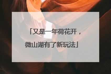 又是一年荷花开，微山湖有了新玩法