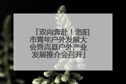 双向奔赴！洛阳市青年户外发展大会暨嵩县户外产业发展推介会召开