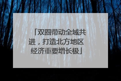 双圈带动全域共进，打造北方地区经济重要增长极