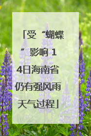 受“蝴蝶”影响 14日海南省仍有强风雨天气过程
