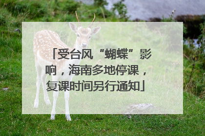 受台风“蝴蝶”影响，海南多地停课，复课时间另行通知