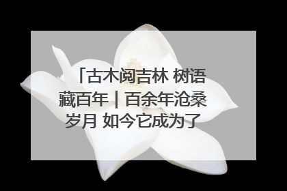 古木阅吉林 树语藏百年｜百余年沧桑岁月 如今它成为了“镇园之宝”